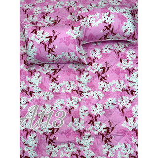 Bộ drap cotton Thắng Lợi 1.4x2m
