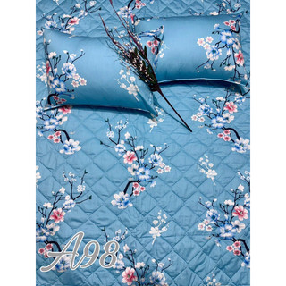 BỘ DRAP COTTON THẮNG LỢI CAO CẤP 1.6x2m