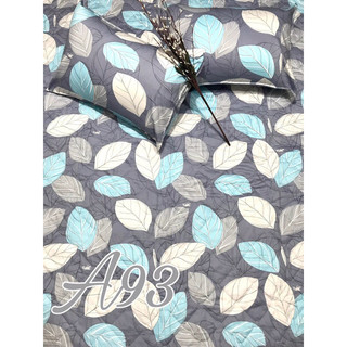 BỘ DRAP COTTON THẮNG LỢI CAO CẤP 1.6x2m