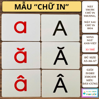 SONG NGỮ 4 trong 1 - Bảng chữ cái, bảng chữ số, thẻ học thông minh cho bé yêu