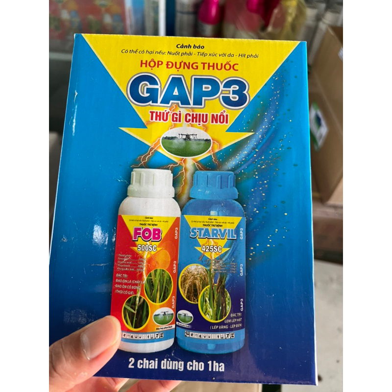 CẶP GAP3 CHÍNH HÃNG