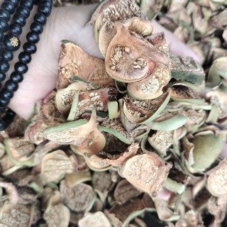 quả Bần sấy khô (hút chân không)