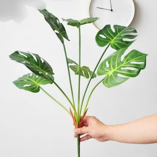 cây giả - cây lá rùa cao 70cm