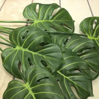 cây giả - cây lá rùa cao 70cm
