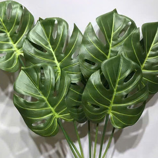 cây giả - cây lá rùa cao 70cm