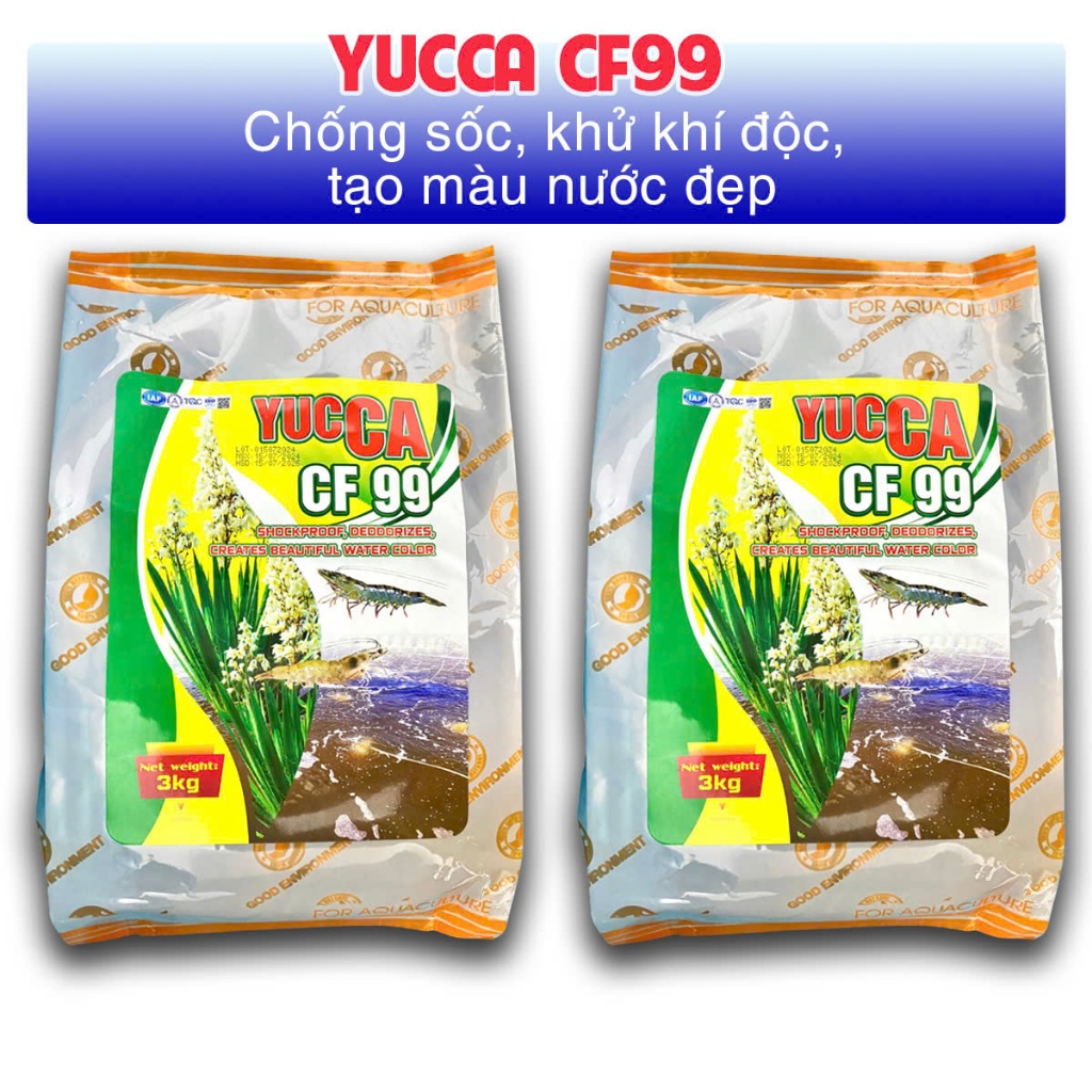 YUCCA CF 99 - CHỐNG SỐC, TĂNG HÀM LƯỢNG OXY HÒA TAN, TẠO MÀU NƯỚC ĐẸP CHO AO NUÔI TÔM