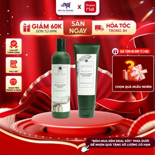 Cặp dầu gội giảm rụng tóc gừng hà thủ ô Weilaiya Ginger Shampoo 400ml/250ml kích mọc tóc PP bởi Shinjiru