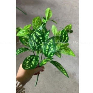 Lá giả - cụm lá đốm ( để Free ship CHAT ngay với người bán)