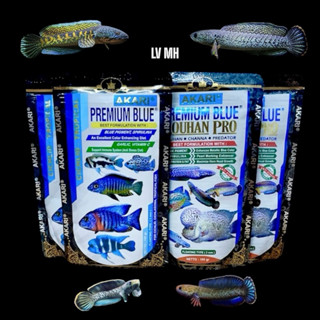 Cám Akari Blue Hỗ Trợ Sắc Tố màu Cho tất cả cá Lóc Lạnh-hoàng đế - nữ hoàng - andrao -pháo ...