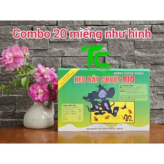 Keo dính chuột lốc 20 miếng