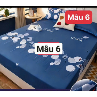 Ga chống thấm cotton Hàn Quốc
