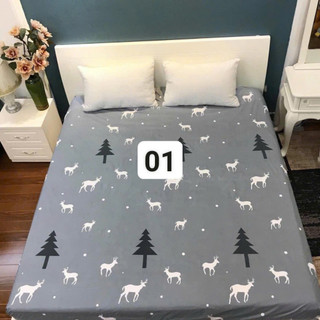 Ga chống thấm cotton Hàn Quốc