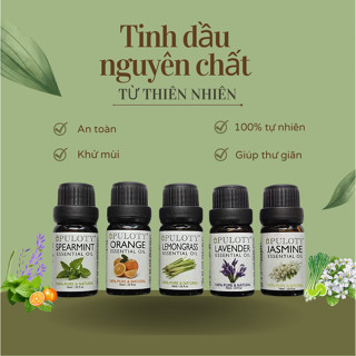Tinh dầu thiên nhiên 10ml Máy tạo độ ẩm Khuếch tán Hương thơm