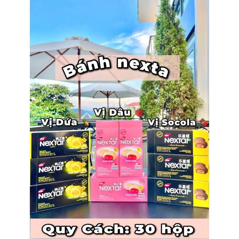 SET 5 HỘP BÁNH SOCOLA, DÂU NEXTAR 2 VỊ