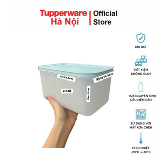 Hộp Trữ Đông Freezermate Gen II Frozy Cozy 2.5L Tupperware chính hãng