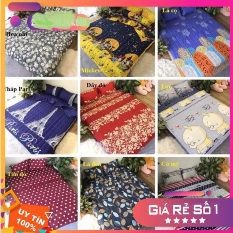 Sét chăn ga gối trần bông 3 lớp pull 5 món cotton poly