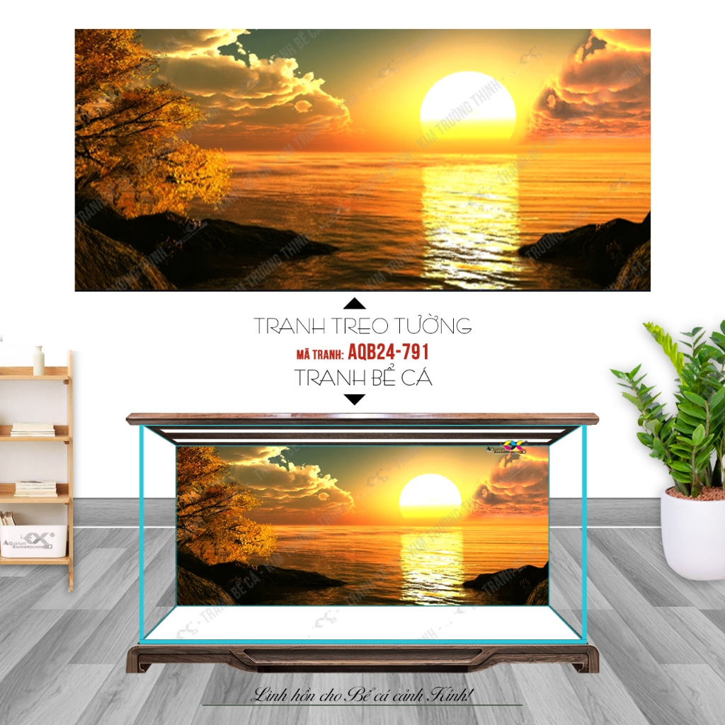 Tranh dán hồ cá 3d - phông nền bể cá cao cấp - mẫu mặt trời - sẵn keo mặt tranh, in theo KT yêu cầu 
