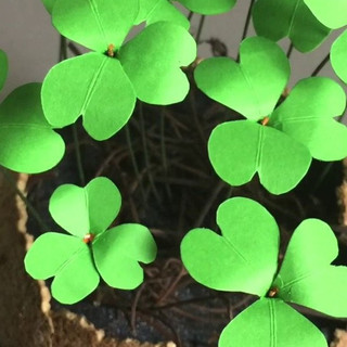 Hạt giống cỏ ba lá ( Gói 50 hạt ) - STHG1