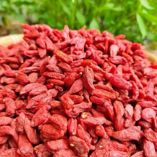 Kỷ Tử Sấy Mộc Loại Đẹp - Pha Trà, Nấu Ăn…