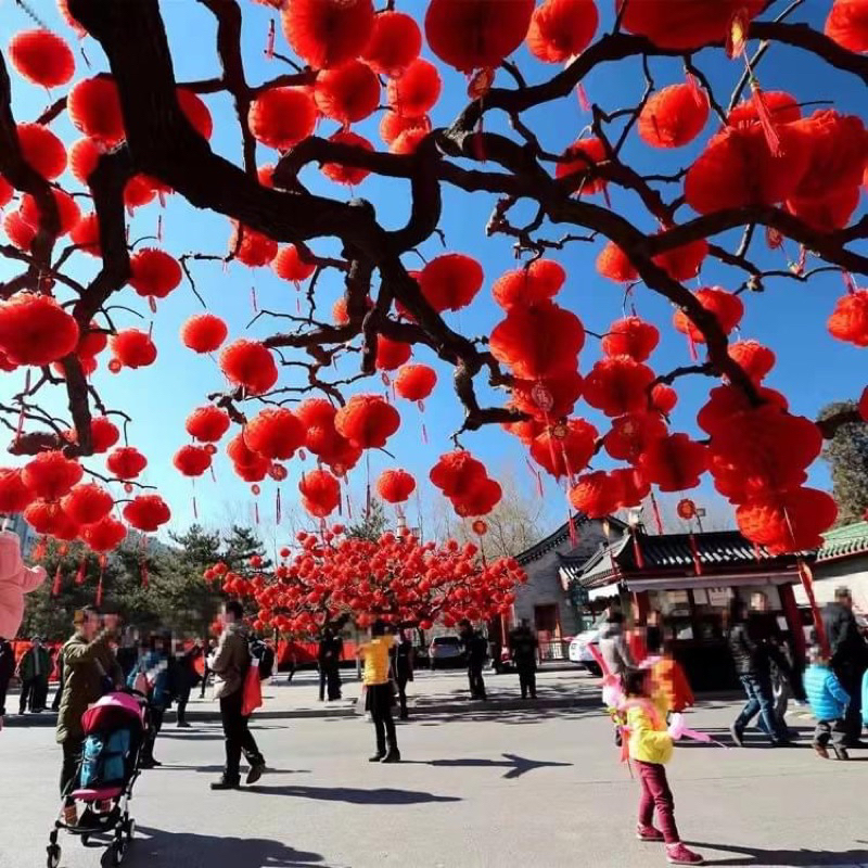 Combo 50 Chiếc Lồng Đèn Đỏ Treo Trang Trí Tết Trung Thu- Đèn Lồng  Siêu Thị Quán Cà Phê Phong Cách Lễ Hội Truyền Thống