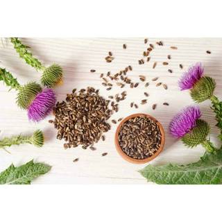 2Gr 80.HẠT Hạt Giống Kế Sữa Gan Milk Thistle (KL| A4*X43*M228)