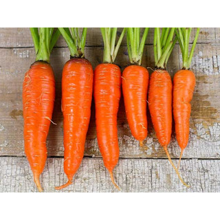 1KG Hạt Giống Cà Rốt Kuroda (| Z3*W31)