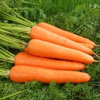 1KG Hạt Giống Cà Rốt Kuroda (| Z3*W31)