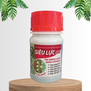 Bám Dính S iêu Lực 5SX, Hấp thu Nhanh, Bám dính tốt, giúp tăng hiệu quả sản phẩm chai 100ml