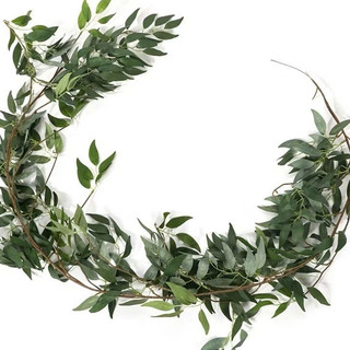Dây lá leo - dây lá bạch đàn 1,8met ( để Free ship CHAT ngay với người bán)