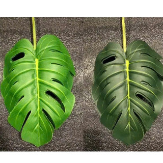 Cành lá rùa trang trí size 20x25 cm ( để Free ship CHAT ngay với người bán)