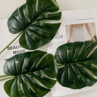 Cành lá rùa trang trí size 20x25 cm ( để Free ship CHAT ngay với người bán)