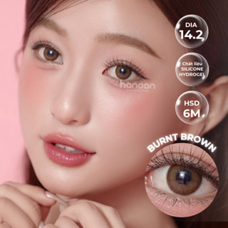 Kính áp tròng nâu tự nhiên Burnt Brown lens cận 6 tháng