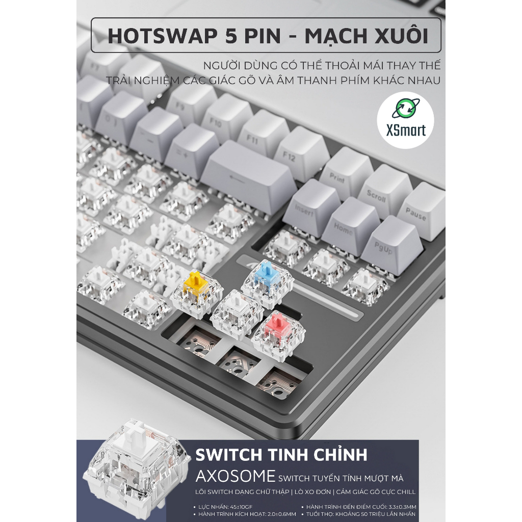 Bàn Phím Cơ Gaming Không Dây Bluetooth XM87 V2 PRO NEW 2025 LED RGB Pro Keycap Xịn, White Switch, Hotswap, 3 Mode | BigBuy360 - bigbuy360.vn