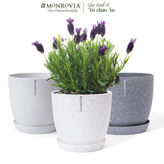 Combo chậu nhựa trồng cây để bàn MONROVIA M9 cho hoa, cây cảnh, bonsai 3 màu