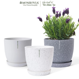 Chậu nhựa trồng cây để bàn MONROVIA M9 cho hoa, cây cảnh, ban công, bonsai 3 màu nhiều size