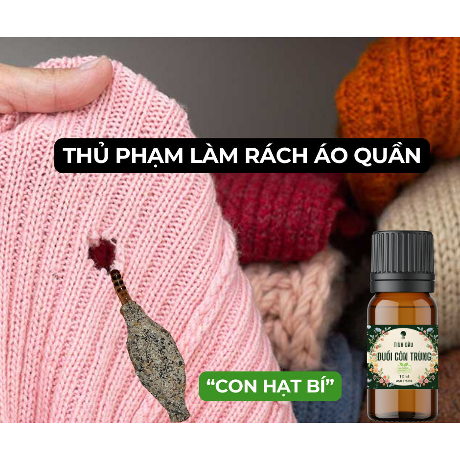 Tinh Dầu Treo Tủ Quần Áo - Đuổi Ngài Vải Côn Trùng Hương Thơm Tự Nhiên Dùng Được Cho Máy Xông