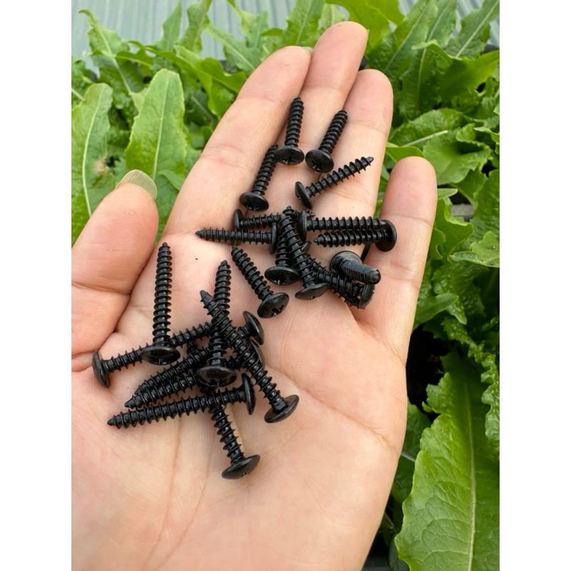 combo Đinh vít đầu dù mũ rộng bắt loa màu đen sơn tĩnh điện M4 20mm và m4 30mm