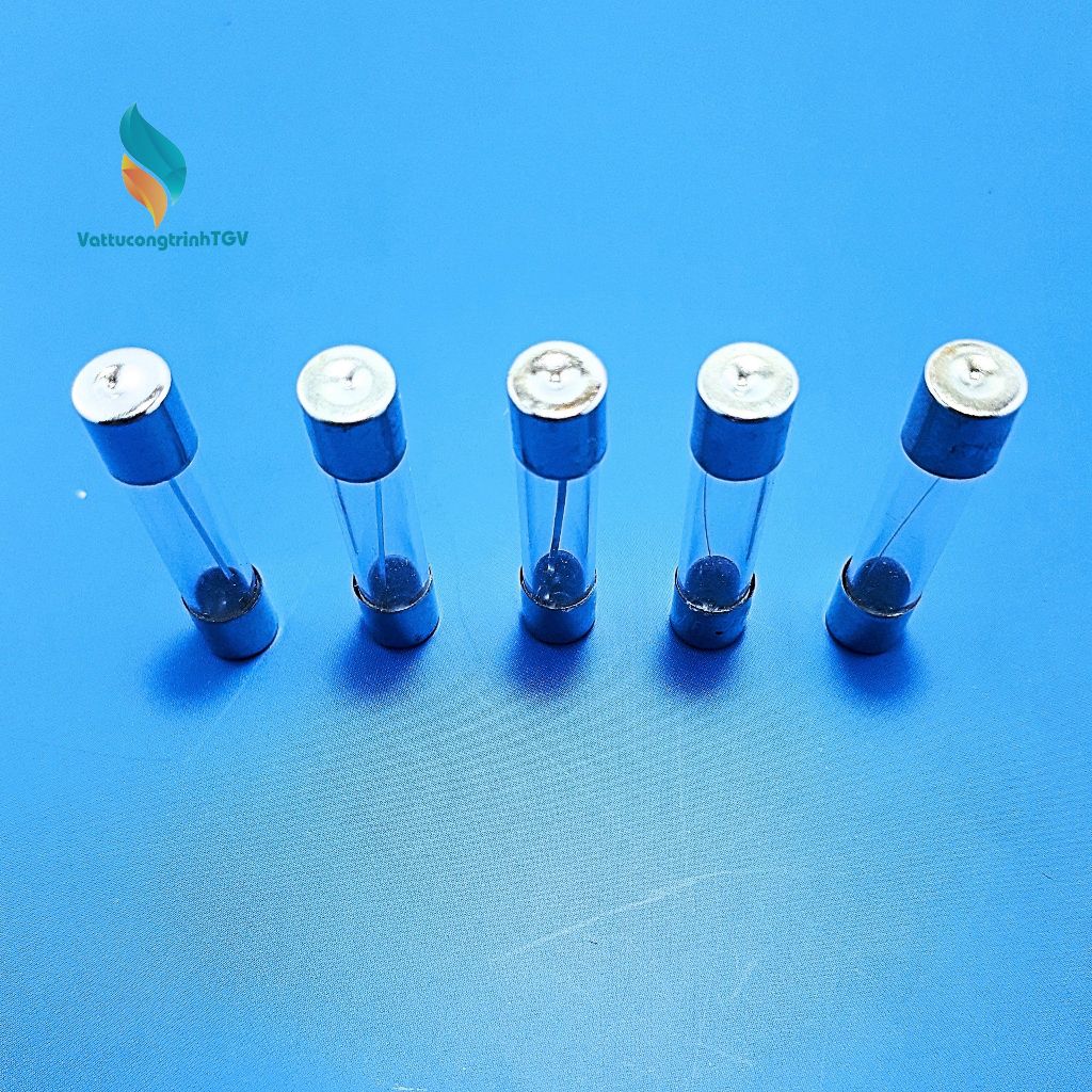 Bộ 5 cầu chì 10A (20*5mm)
