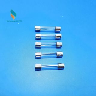 Bộ 5 cầu chì 10A (20*5mm)