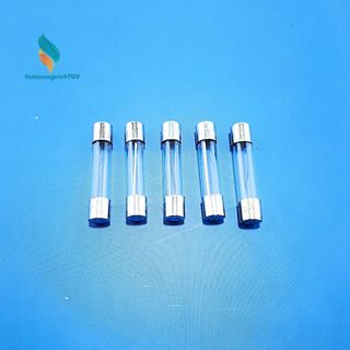 Bộ 5 cầu chì 10A (20*5mm)