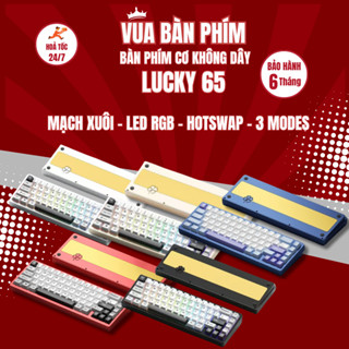 [HÀNG SẴN] Kit bàn phím cơ lucky 65 | lucky65 keyboard nhôm cnc, 3 mode kết nối mạch xuôi , hostswap, led rgb