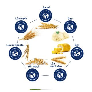 Bột ăn dặm Hipp Đủ Vị 200g
