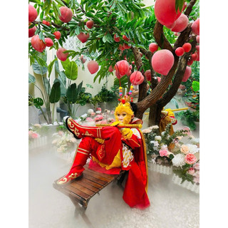 Trang phục Tôn Ngộ Không trẻ em