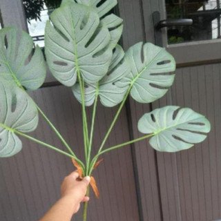 cây giả - cây lá rùa cao 70cm ( để Free ship CHAT ngay với người bán)
