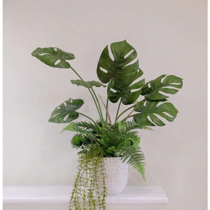 cây giả - cây lá rùa cao 70cm ( để Free ship CHAT ngay với người bán)