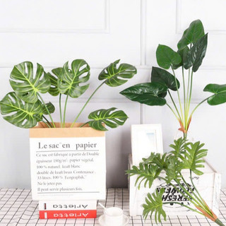 cây giả - cây lá rùa cao 70cm ( để Free ship CHAT ngay với người bán)