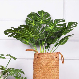 cây giả - cây lá rùa cao 70cm ( để Free ship CHAT ngay với người bán)