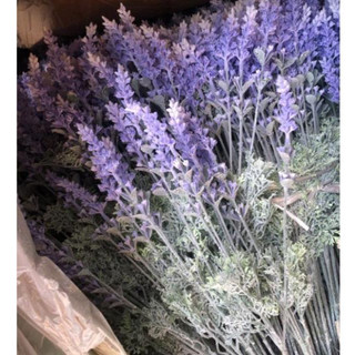 hoa giả - lavender ( oải hương) trang trí decor ( để Free ship CHAT ngay với người bán)