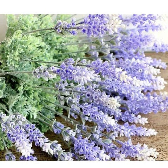 hoa giả - lavender ( oải hương) trang trí decor ( để Free ship CHAT ngay với người bán)