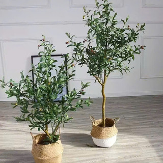 Giỏ cói đựng đồ, trồng cây cảnh ( để Free ship CHAT ngay với người bán)
